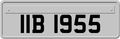 IIB1955