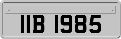 IIB1985