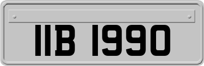 IIB1990