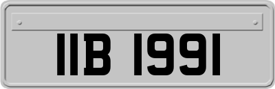 IIB1991