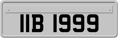 IIB1999