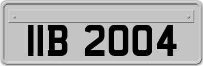 IIB2004