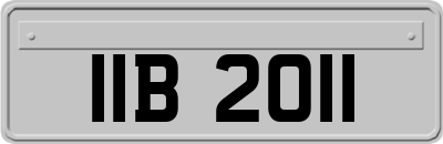 IIB2011