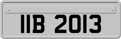 IIB2013