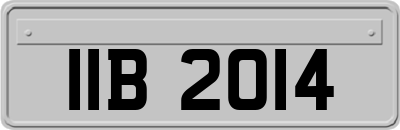 IIB2014