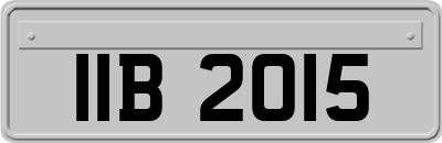IIB2015