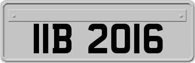 IIB2016