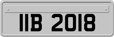 IIB2018
