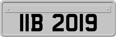 IIB2019