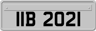 IIB2021