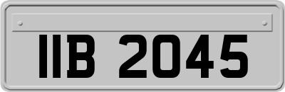 IIB2045