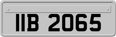 IIB2065