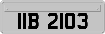 IIB2103