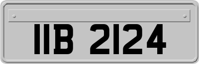 IIB2124