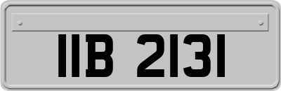 IIB2131
