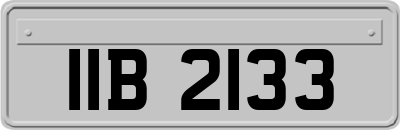 IIB2133