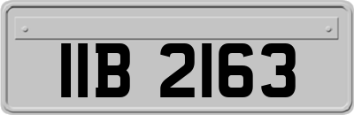 IIB2163
