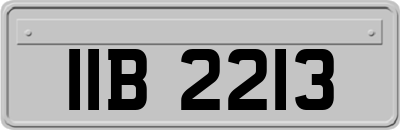 IIB2213
