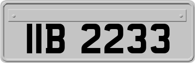 IIB2233