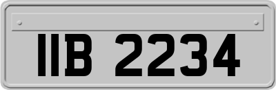 IIB2234
