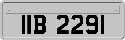 IIB2291