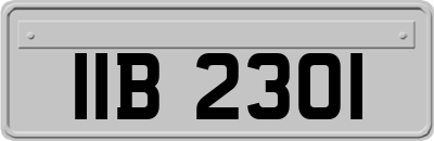 IIB2301