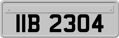 IIB2304