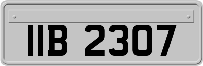IIB2307