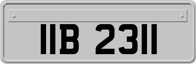 IIB2311