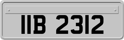 IIB2312