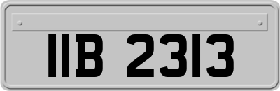 IIB2313