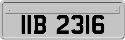 IIB2316