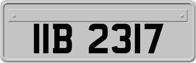 IIB2317