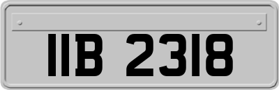 IIB2318
