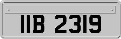 IIB2319