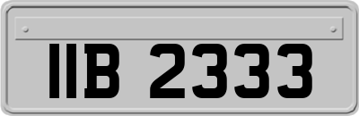 IIB2333
