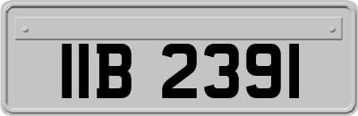 IIB2391