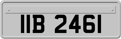 IIB2461