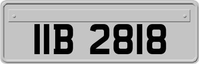 IIB2818
