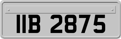 IIB2875