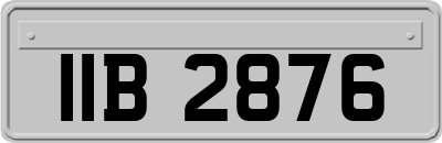 IIB2876