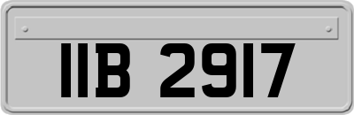 IIB2917
