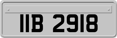 IIB2918