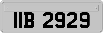 IIB2929