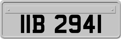IIB2941