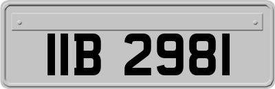 IIB2981