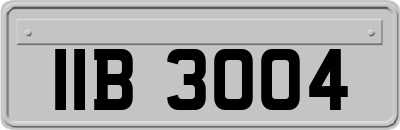 IIB3004