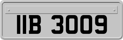 IIB3009