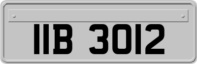 IIB3012