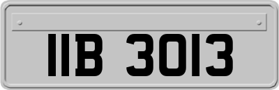 IIB3013